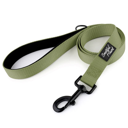 Green dog leash with black clip on a white background