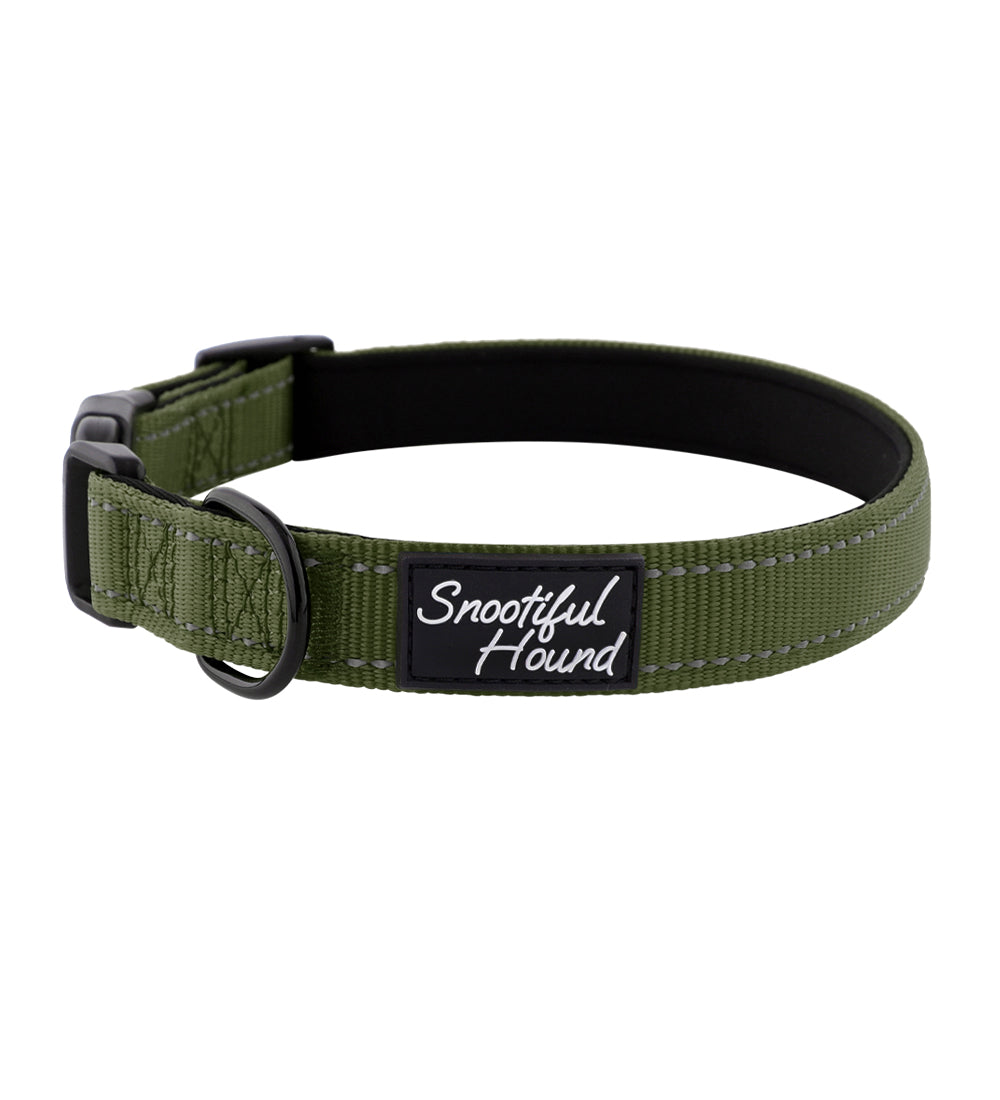 ID Dog Collar - Padded & Reflective- Greyhounds & Whippets