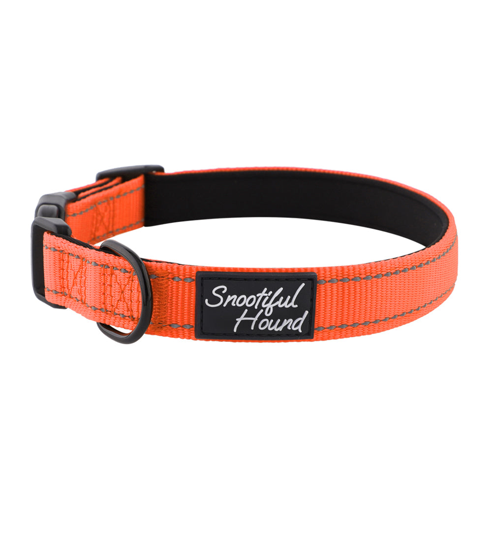 orange id dog collar