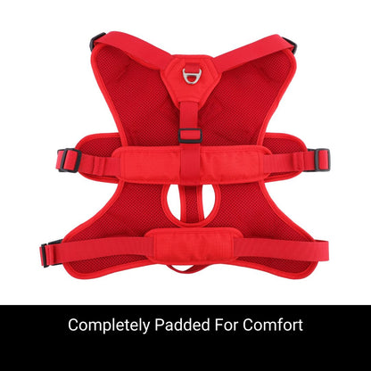 sighthound harness with front ring padded for comfort