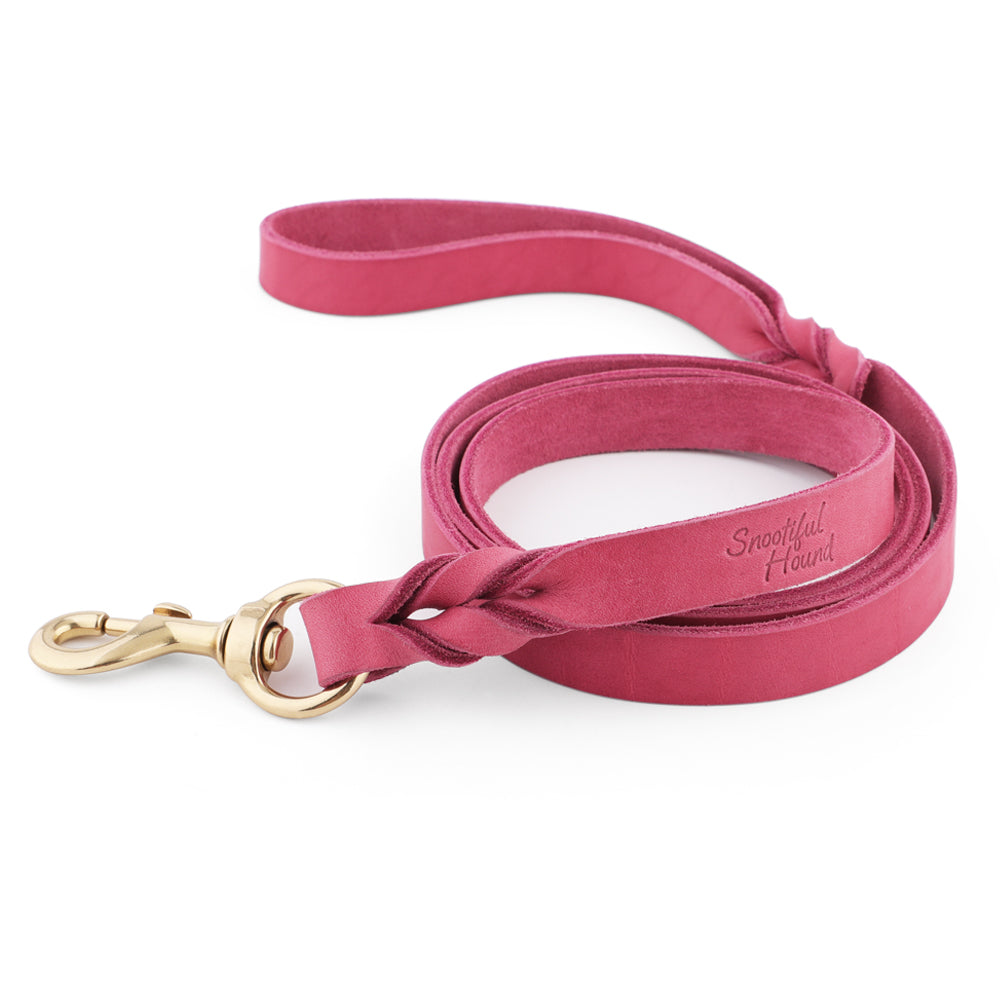 Leather Dog Lead - 150cm - Braided Finish