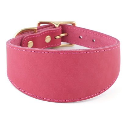 pink leather lurcher collar