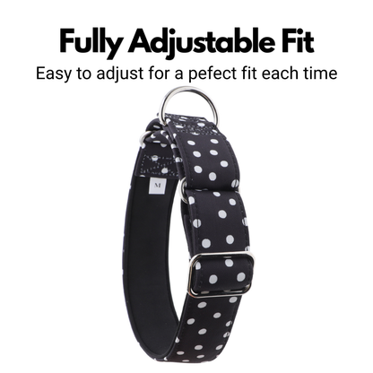 Black & White Polka Dot Martingale Collar for Sighthounds - Padded