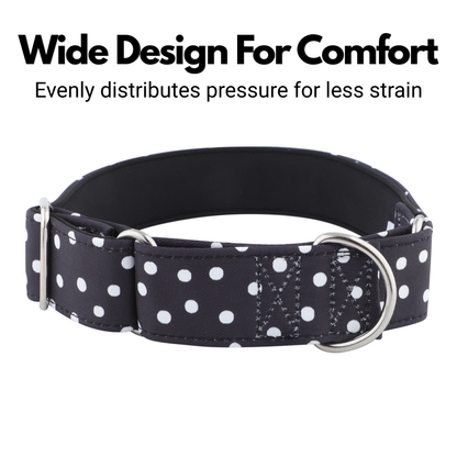 Black & White Polka Dot Martingale Collar for Sighthounds - Padded