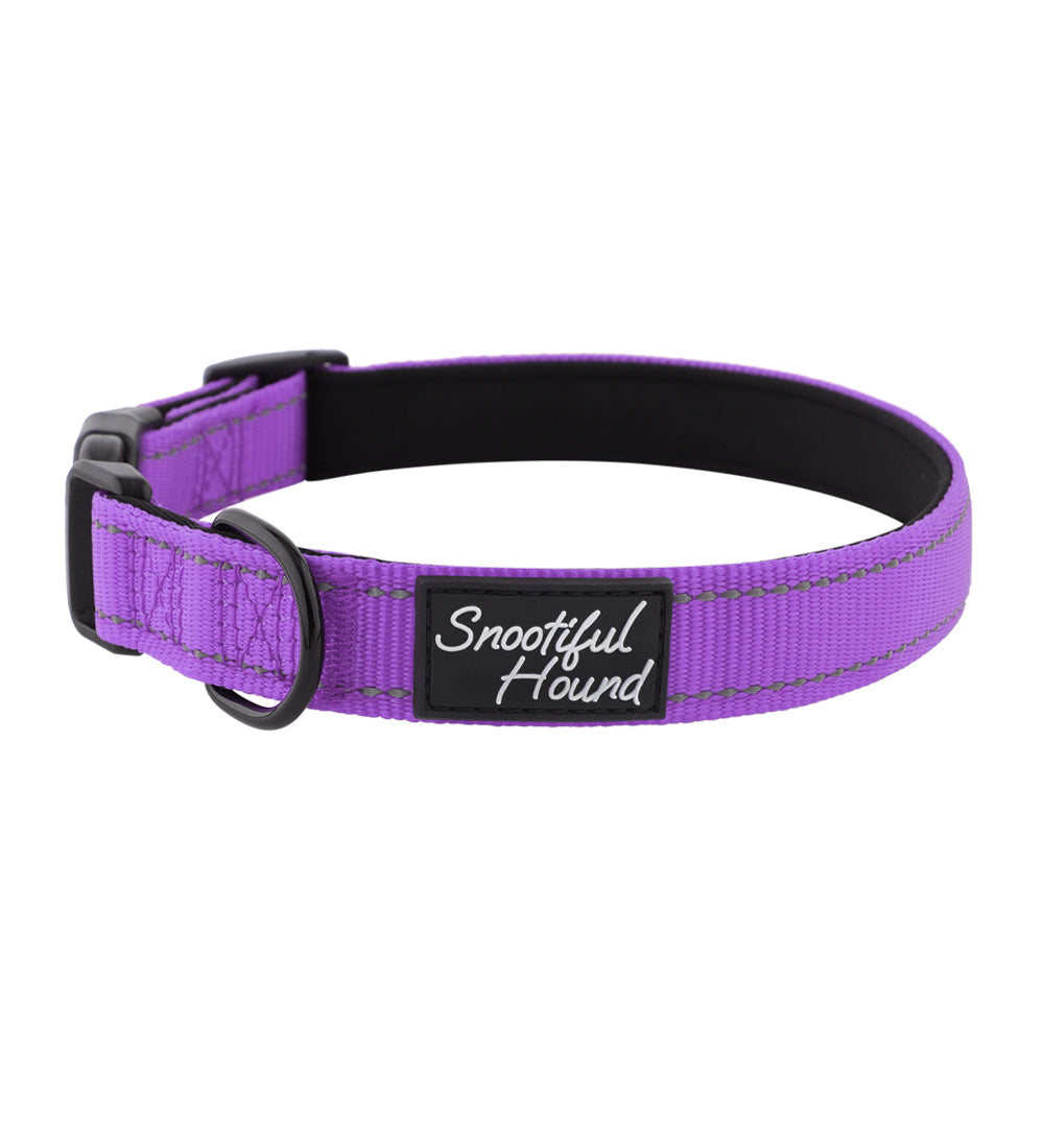 purple id dog collar