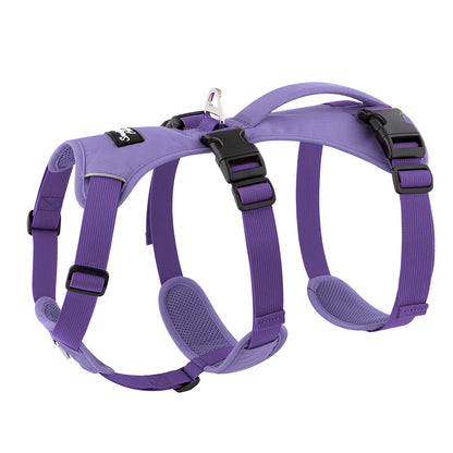 Lightweight Summer Harness for Sighthounds | Breathable, Comfortable & Escape Proof