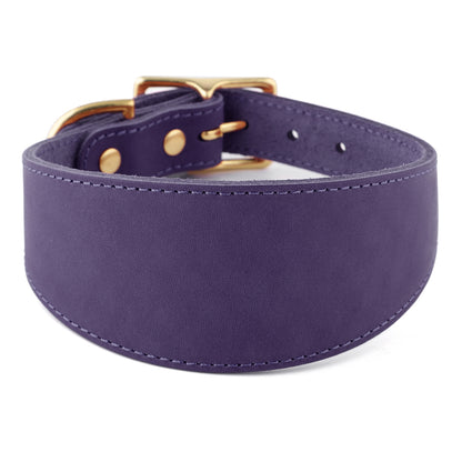 purple leather sighthound collar
