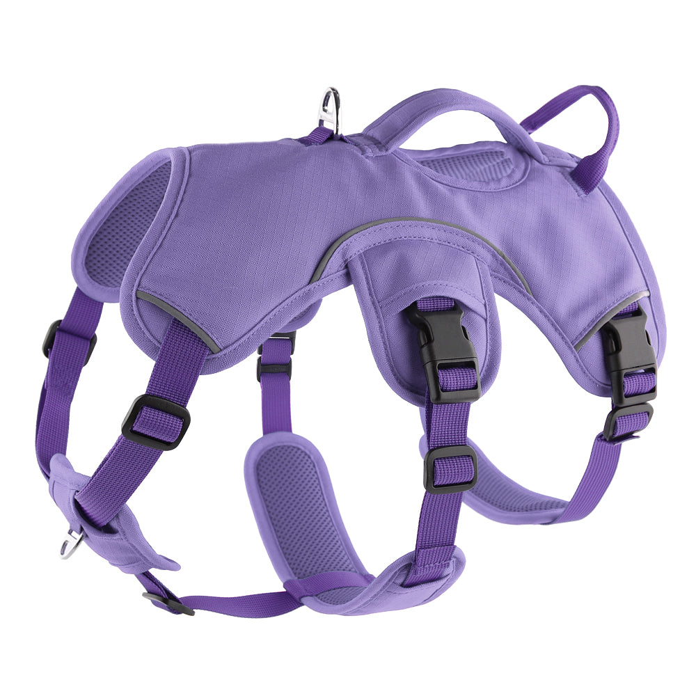 purple harness for sighthounds, greyhounds, whippets and lurchers