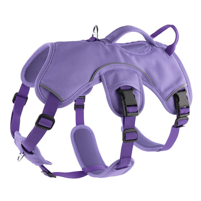 purple harness for sighthounds, greyhounds, whippets and lurchers