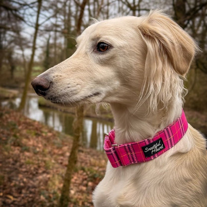 Martingale Collar - Pink Tartan Check | Whippets & Greyhounds