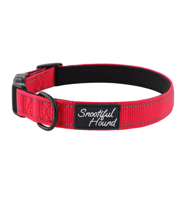 Whippet Collars - Comfortable, Stylish & Perfect Fit for Whippets ...