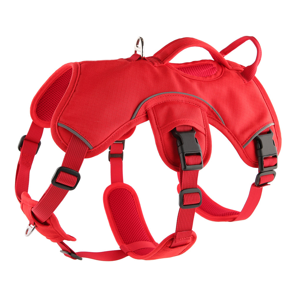 greyhound / whippet harness in red