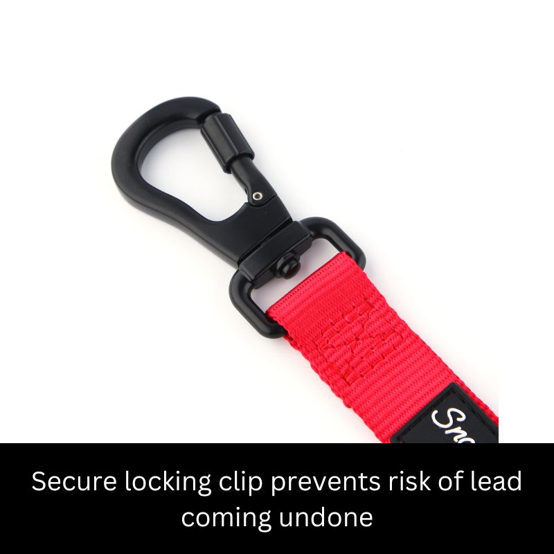 carabiner dog lead