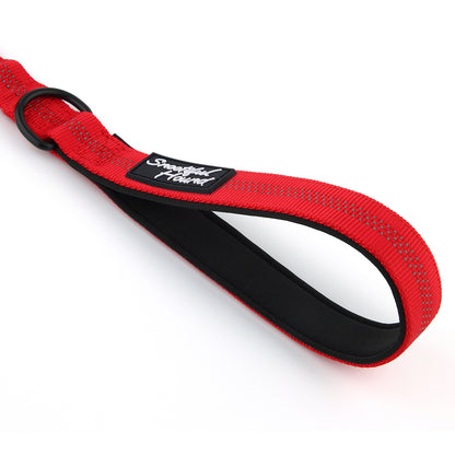 Bungee Dog Lead - Shock Absorbing Lead With Double Handles