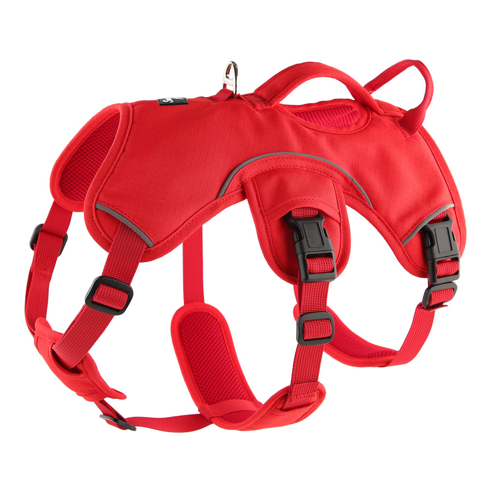 greyhound / whippet harness in red