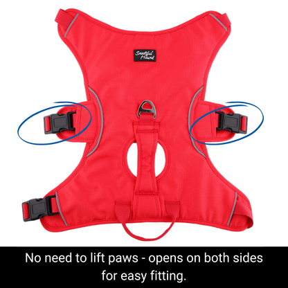 red sighthound harness with buckles on both sides for paw shy hounds