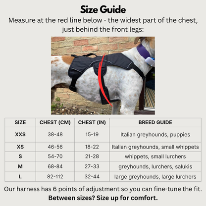 Sighthound Harness | Whippets, Greyhounds & Lurchers | Escape Proof