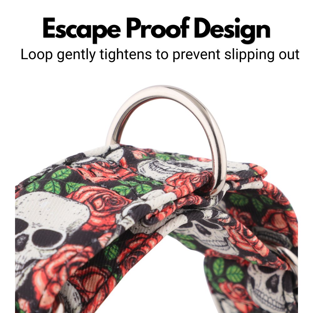 Skulls & Roses Martingale Collar for Sighthounds - Padded