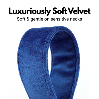 Blue Velvet Martingale Collar for Sighthounds - Soft & Luxurious