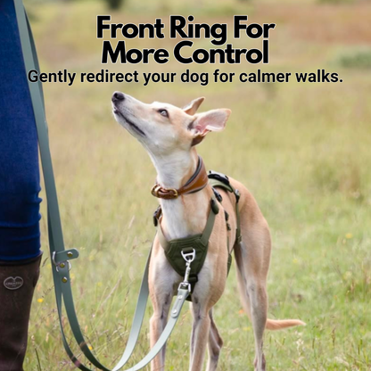 Lightweight Summer Harness for Sighthounds | Breathable, Comfortable & Escape Proof