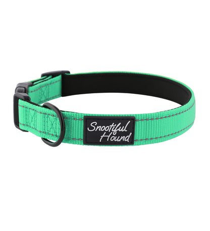 turquoise id dog collar