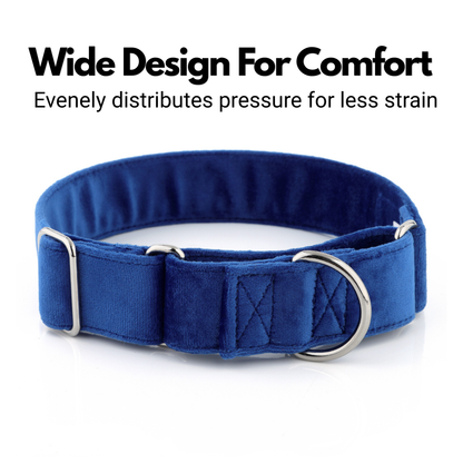 Blue Velvet Martingale Collar for Sighthounds - Soft & Luxurious